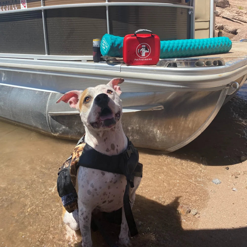 Deluxe Pet First Aid Kit 60 Pc Veterinarian Approved