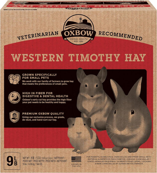 Animal Health Western Timothy Hay, Guinea Pig Hay, Small Pet Bunny Supplies, All Natural Grass for Guinea Pig, Bunny, Chinchilla & Hamster,  Rabbit Supplies for Bunnies, 9 Lb Box