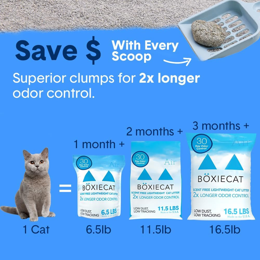 Boxie® Unscented 30 Day Natural Odor Control Cat Litter, 6.5Lb Lightweight Plant Based Kitty Litter
