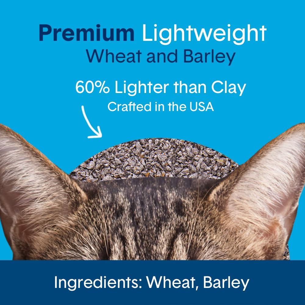 Boxie® Unscented 30 Day Natural Odor Control Cat Litter, 6.5Lb Lightweight Plant Based Kitty Litter