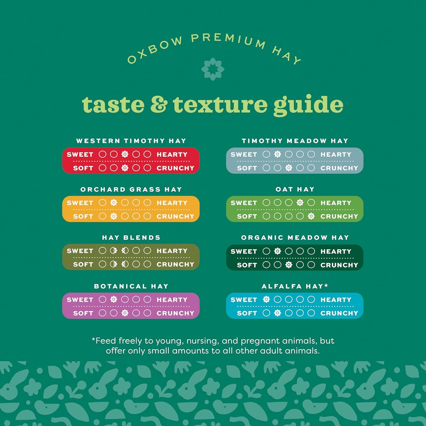 Animal Health Western Timothy Hay, Guinea Pig Hay, Small Pet Bunny Supplies, All Natural Grass for Guinea Pig, Bunny, Chinchilla & Hamster,  Rabbit Supplies for Bunnies, 9 Lb Box