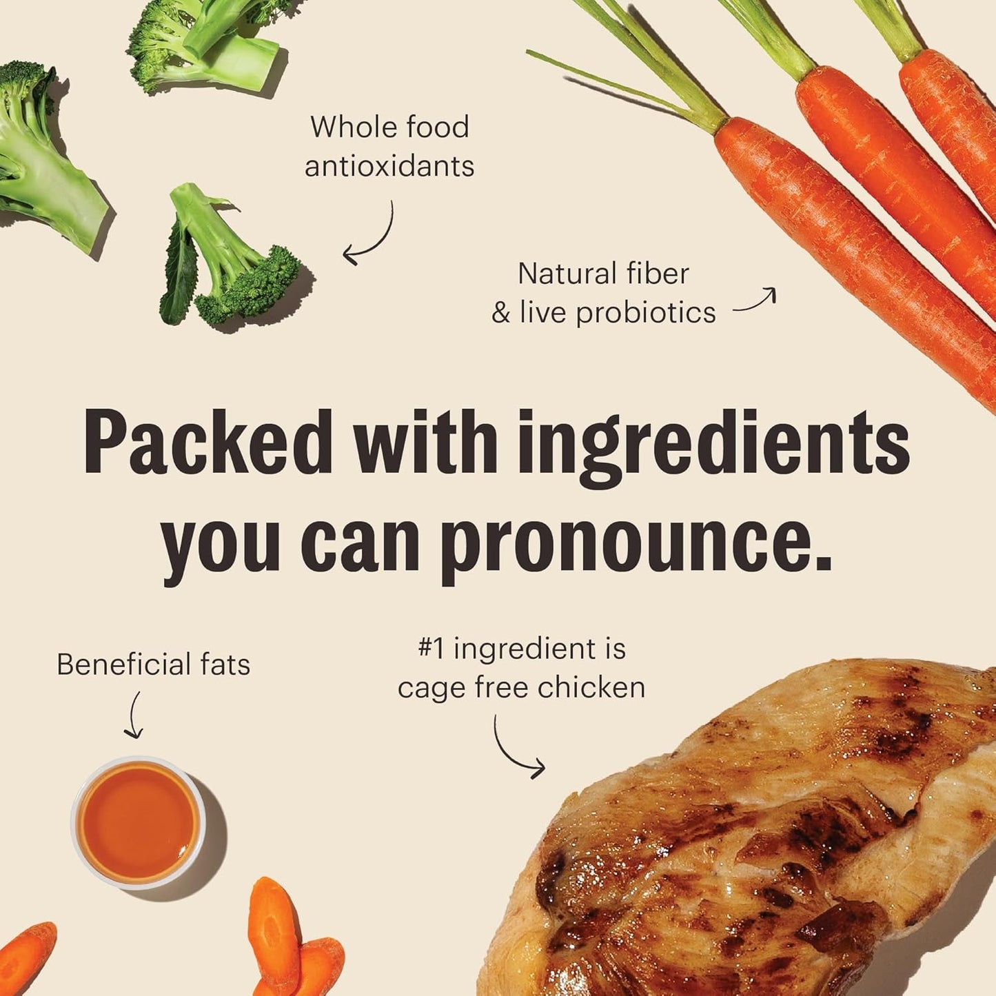 The Honest Kitchen Whole Food Clusters Grain Free Chicken Dry Dog Food, 5 Lb Bag